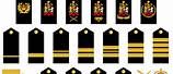 Canadian Military Rank Insignia