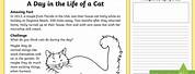 Cat Story for Writing Ideas
