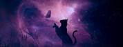 Cats Silhouettes Profiles Picture Galaxy