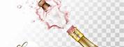 Champagne Pink On White Background