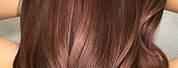Chestnut Hair Color for Women