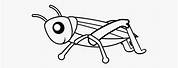 Clip Art Outline Cricket Insect