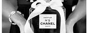 Coco Chanel Black and White
