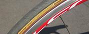 Continental Grand Prix 3000 Red