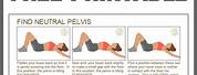 Core Strengthening Exercises Physical Therapy