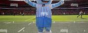 Coventry City Soccer Sky Blue Sam