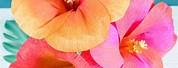 Crepe Paper Flower Hibiscus Template