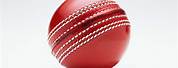 Cricket Ball HD Images
