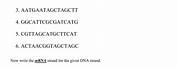 DNA Base Pair Worksheet