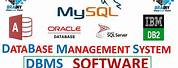 Database Management System Software
