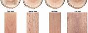 Different Types of Wood Veneer Grain