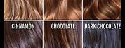 Different Variations of Caramel Hair Color