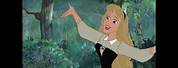 Disney Princess Enchanted Tales Aurora