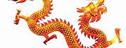 Dragon Images for Chinese New Year