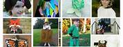 Dress Up Ideas for World Book Day