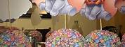 Dumbo Birthday Party
