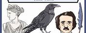 Edgar Allan Poe Raven Clip Art