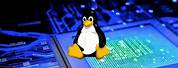 Embedded Linux Developer