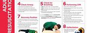 Emergency First Aid Guide Poster
