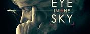 Eye in the Sky Song in Movie