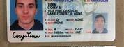 Fake Drivers License Front and Back