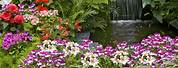 Flower Garden Wallpaper HD Desktop