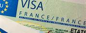 France Visa Registration Number