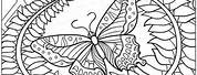 Free Adult Intricate Coloring Pages