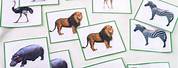 Free Printable Jungle Animal Matching Cards