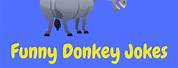Funny Donkey Cartoon Jokes