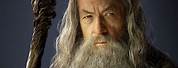 Gandalf the Grey Actor