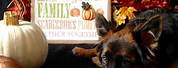 German Shepherd Puppy Thanksgiving