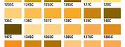 Gold Pantone PMS Color Chart