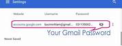 Google Account Email and Password