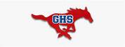 Grapevine High School Logo