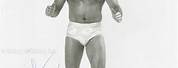 Greg Gagne Professional Wrestler