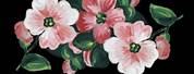 Gucci Flower Desktop Wallpaper