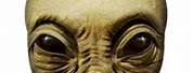 Halloween Alien Mask Transparent Background