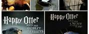 Happy Otter Books Harry Potter