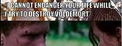 Harry Potter and Hunger Games Funny Memes