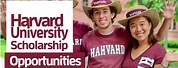 Harvard University Scholarship Application