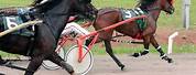 Horse Racing with Carts Wallpaper