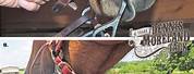 How to Put a Chin Strap On a Horse Bridle