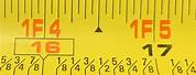 Inches On a Tape Measure