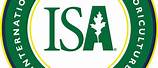 Indy Isa Logo