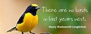 Inspirational Quotes with Birds