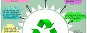 Interesting Facts About Recycling