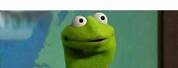 Kermit Staring Meme Blank