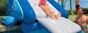 Kids Pool Slide for Inground Pools