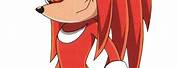 Knuckles From Sonic X